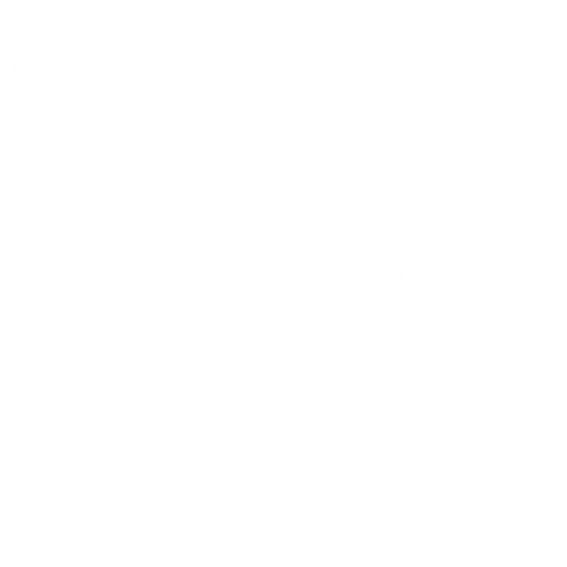 Billing Management icon