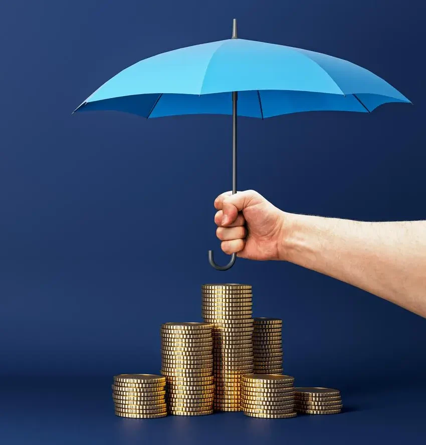 Finance & Insurance Sector