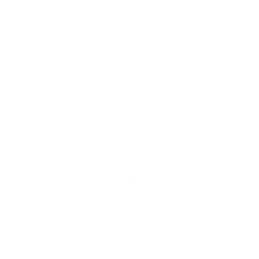 Security Management icon