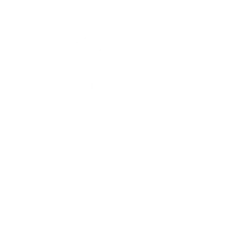 Vulnerability Assessment & Penetration Testing (VAPT) icon